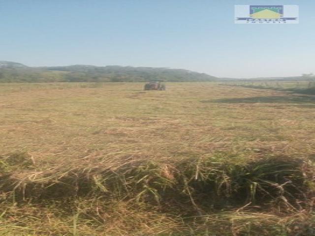 #354 - Terreno para Venda em Rio das Ostras - RJ