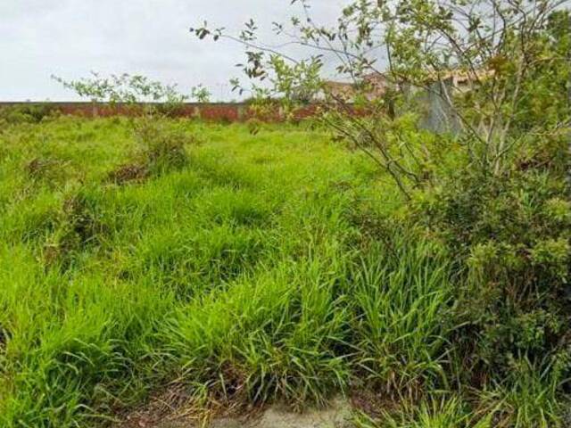 #522 - Área para Venda em Rio das Ostras - RJ