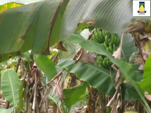 Venda em Bicuda - Macaé