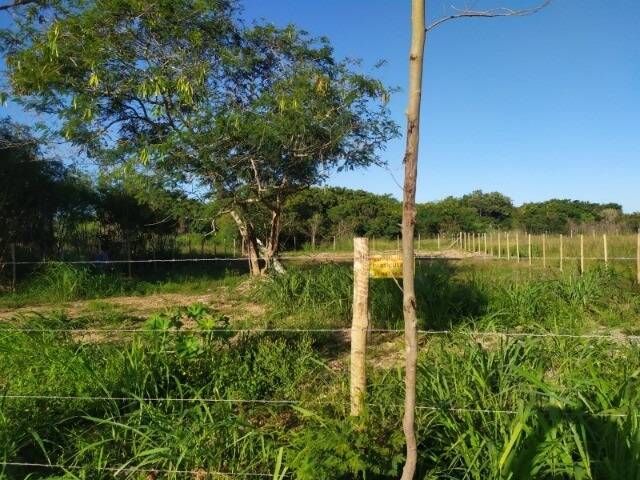#721 - Área para Venda em Búzios - RJ