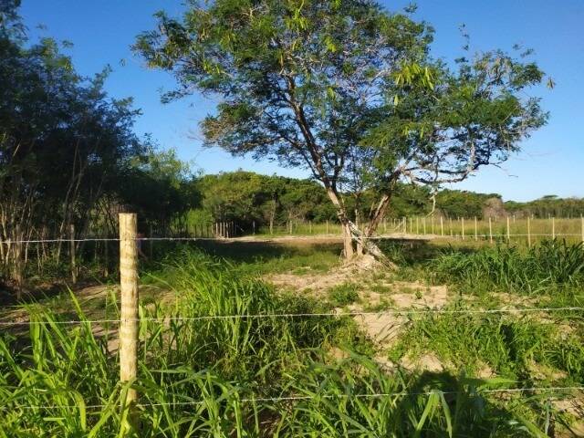 #721 - Área para Venda em Búzios - RJ