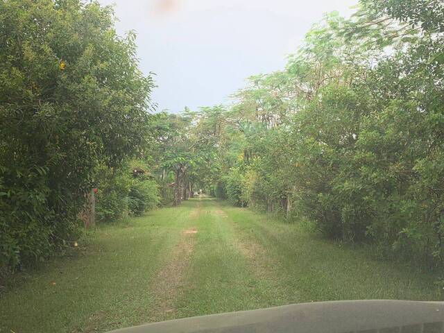 Chácara para Venda em Cabo Frio - 4