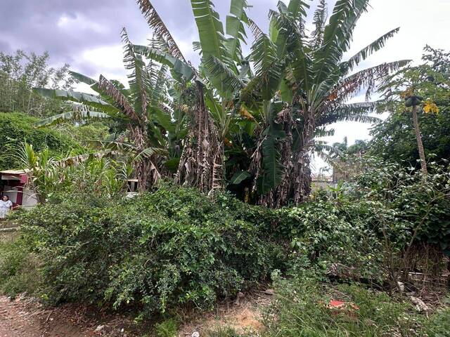 #975 - Área para Venda em Rio das Ostras - RJ