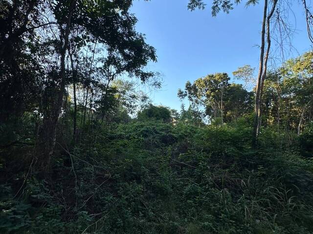 Área para Venda em Rio de Janeiro - 4